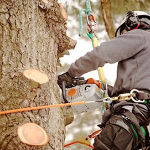 G’s Friendly Tree Service