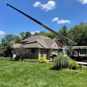 Midwest Tree Service