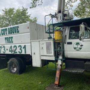 A Cut Above Tree Service