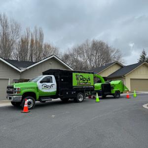 Roy's Tree Care & Removal