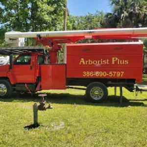Arborist Plus Tree & Landscapes