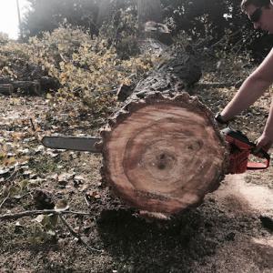 Clear View Tree Service