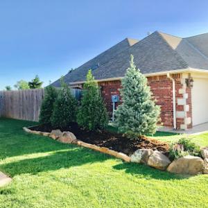 Top Notch Tree & Landscape