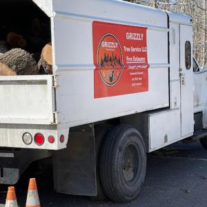 Grizzly Tree Service