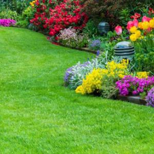 SP & LC Sprinklers & Landscape Contractors