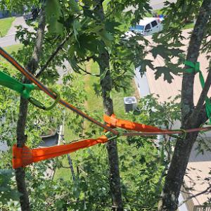 Cherokee Mountain Tree Service