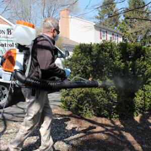 Tomlinson Bomberger Pest Control