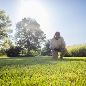 Good's Tree & Lawn Care