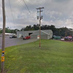 Timber Wolf Tree & Lawn