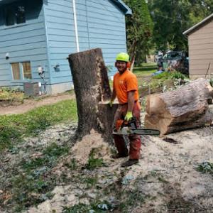 Twin Pines Tree Care & Landscaping