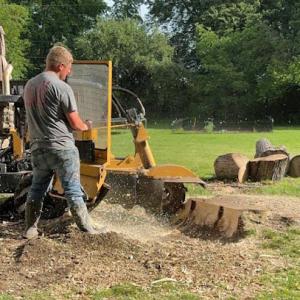 Butler's Stump Grinding