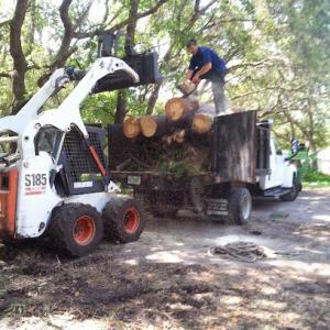 What About Bob's Tree Service