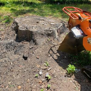 E & Z Stump Grinding