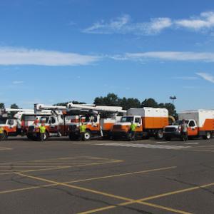 Mountain Tree Service