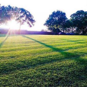 Willow Creek Landscaping Tree Service