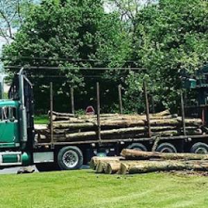 Urban Forestry of Pennsylvania
