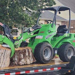 Monster Tree Service of Greater Boulder