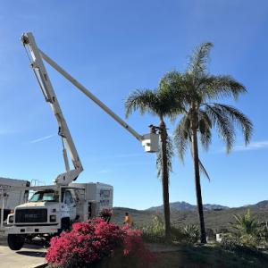 Estates Tree Service