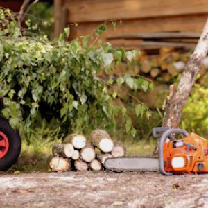 Evansville Tree Service
