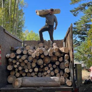 Colorado Tree Specialists