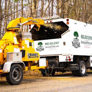 Seacoast Tree Care