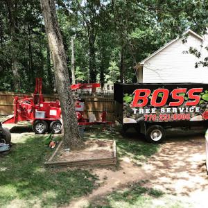 Boss Tree Service
