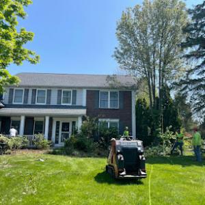 K&C Rochester Tree & Landscape