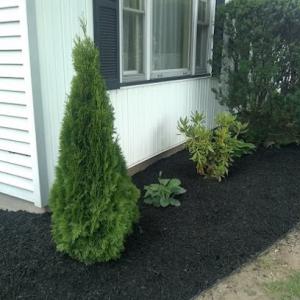 Paul's Landscaping of NY