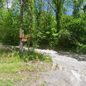 Great Lakes Tree Care