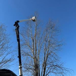 Medeiros Property Services