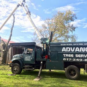 Advanced Tree Services