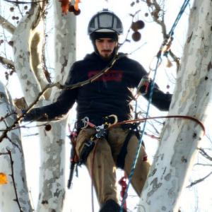 Murphy's Tree Service