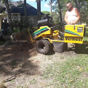 Southern Roots Tree Service