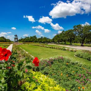 Yellowstone Landscape
