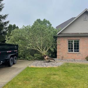 Father & Son’s Tree Service
