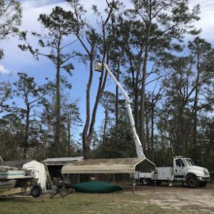 Cruise OB Tree Service
