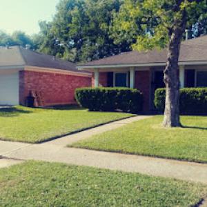 Greener & Cleaner ( Lawn Care Services)