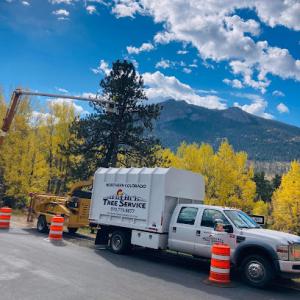 Northern Colorado Tree Service