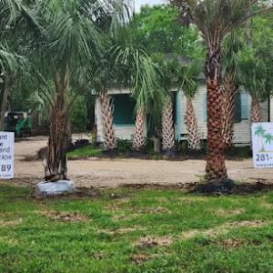 Verdant Tree Farm & Landscape - Pearland