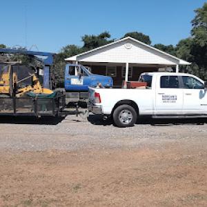 Morgan's Stump Removal