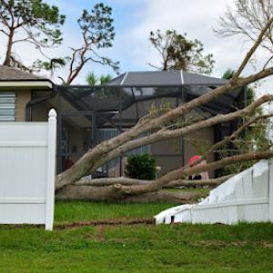 Barry's Tree Service Fort Mill
