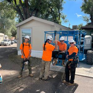 Arbor One Tree Service