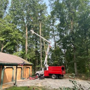 Center Grove Tree Service.