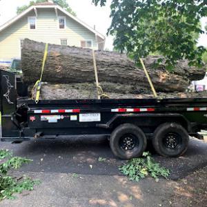 Md Professional Tree Service