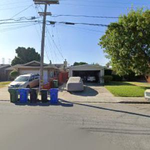 Arnaz Tree Stump Removal