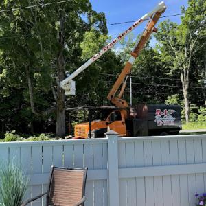 A-1 Tree Service
