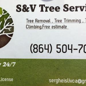 S&V Tree Service