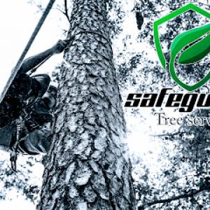 Safeguard Tree Service