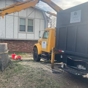 Langford Tree Care