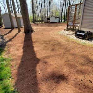 Flores Tree Service & Landscaping